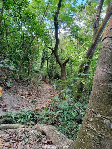 【屏東瑪家】汗流浹背太自虐。 小百岳集起來。 No76小百岳