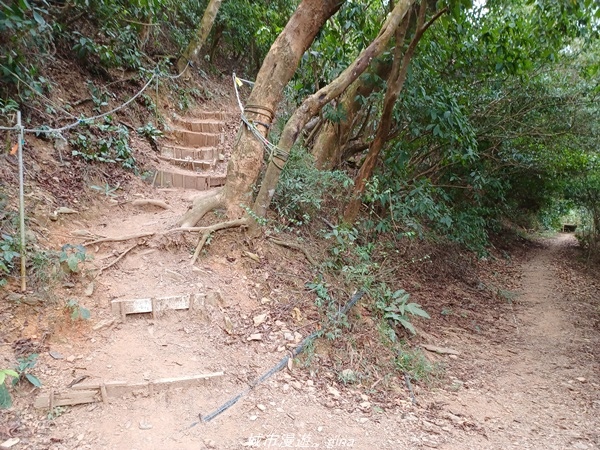 【屏東瑪家】汗流浹背太自虐。 小百岳集起來。 No76小百岳