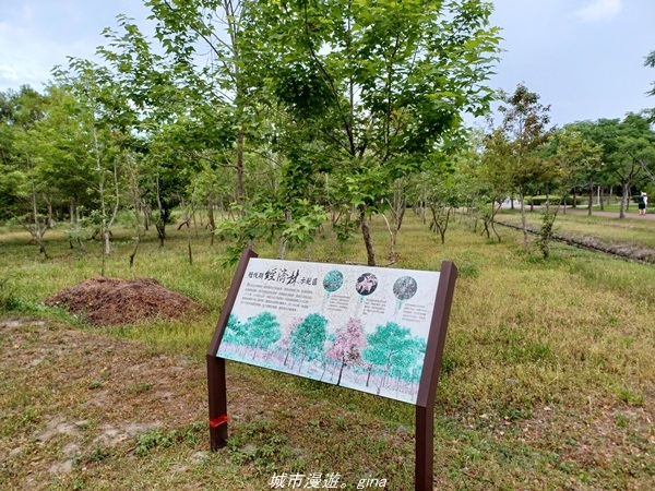 20220423_155351.jpg 20220423_155351.jpg