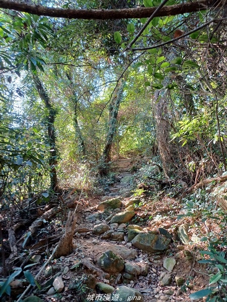 【屏東來義】屏東三大熱門登山路線之一。 小百岳集起來。 No