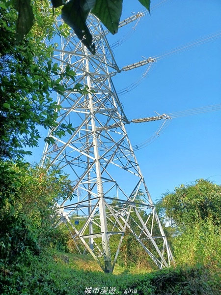 20220424_081451.jpg 20220424_081451.jpg