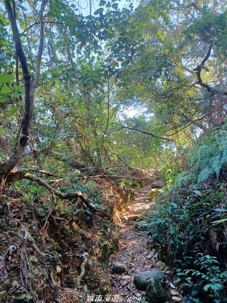 20220424_081525.jpg 20220424_081525.jpg