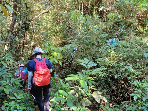 20220424_082826.jpg 20220424_082826.jpg