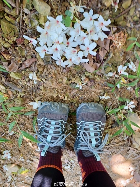 20220424_090209.jpg 20220424_090209.jpg