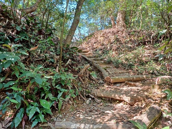 20220424_091605.jpg 20220424_091605.jpg