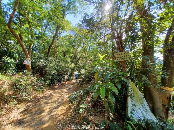 20220424_092659.jpg 20220424_092659.jpg