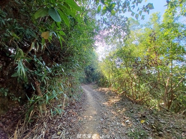 【屏東來義】屏東三大熱門登山路線之一。 小百岳集起來。 No