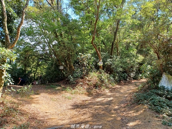 20220424_092517.jpg 20220424_092517.jpg