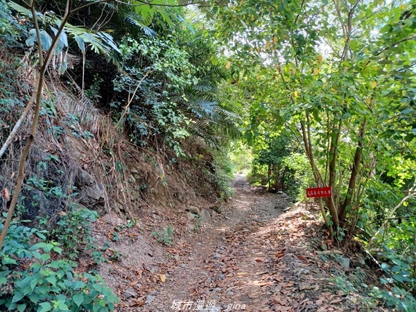 20220424_093826.jpg 20220424_093826.jpg