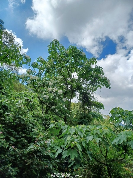 20220424_095514.jpg 20220424_095514.jpg