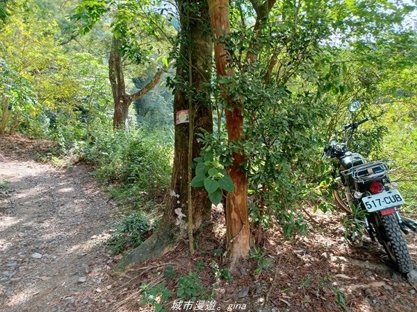 20220424_094052.jpg 20220424_094052.jpg