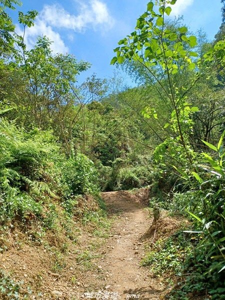 【屏東來義】屏東三大熱門登山路線之一。 小百岳集起來。 No