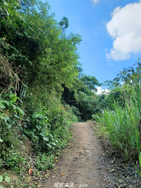 【屏東來義】屏東三大熱門登山路線之一。 小百岳集起來。 No