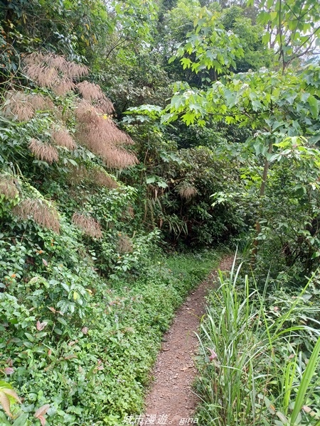 20220424_095521.jpg 20220424_095521.jpg