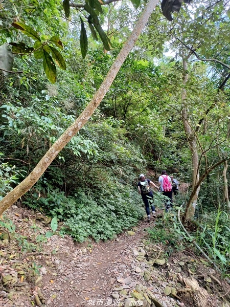 【屏東來義】屏東三大熱門登山路線之一。 小百岳集起來。 No