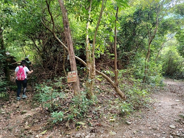 【屏東來義】屏東三大熱門登山路線之一。 小百岳集起來。 No