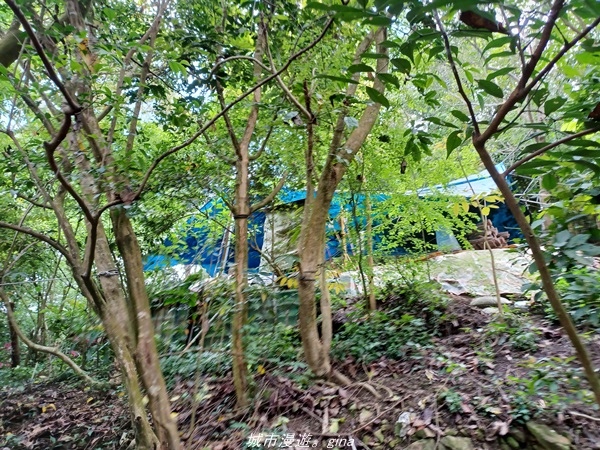 20220424_100042.jpg 20220424_100042.jpg