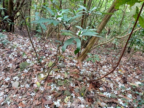 20220424_100701.jpg 20220424_100701.jpg