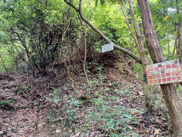 20220424_100227.jpg 20220424_100227.jpg