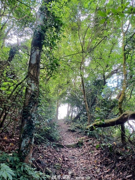 20220424_101025.jpg 20220424_101025.jpg