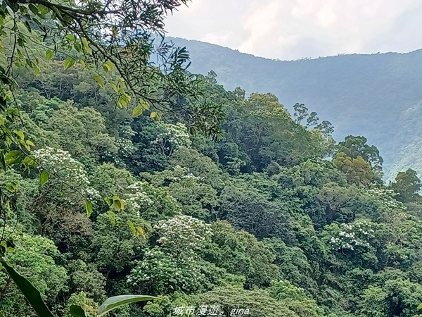 20220424_101112.jpg 20220424_101112.jpg