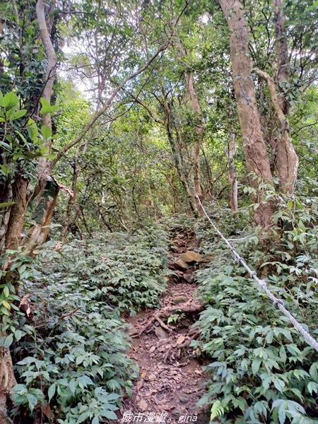 20220424_102221.jpg 20220424_102221.jpg