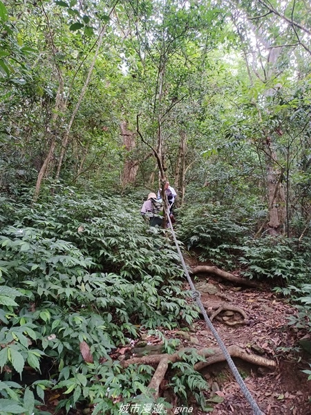 【屏東來義】屏東三大熱門登山路線之一。 小百岳集起來。 No