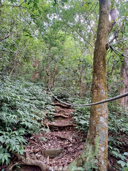 20220424_102713.jpg 20220424_102713.jpg