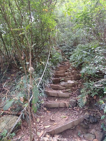 20220424_102425.jpg 20220424_102425.jpg