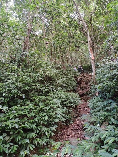 20220424_103052.jpg 20220424_103052.jpg