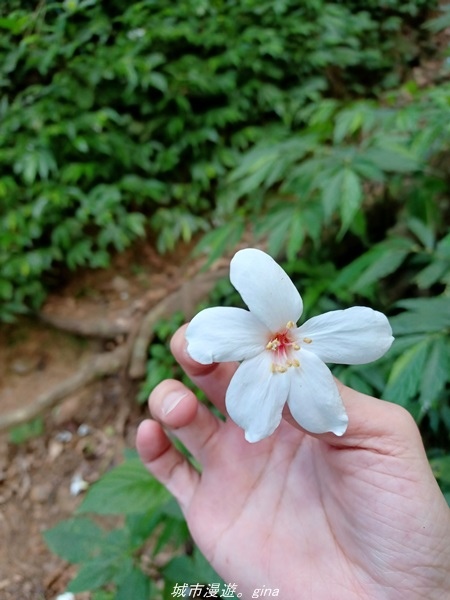 20220424_103120.jpg 20220424_103120.jpg