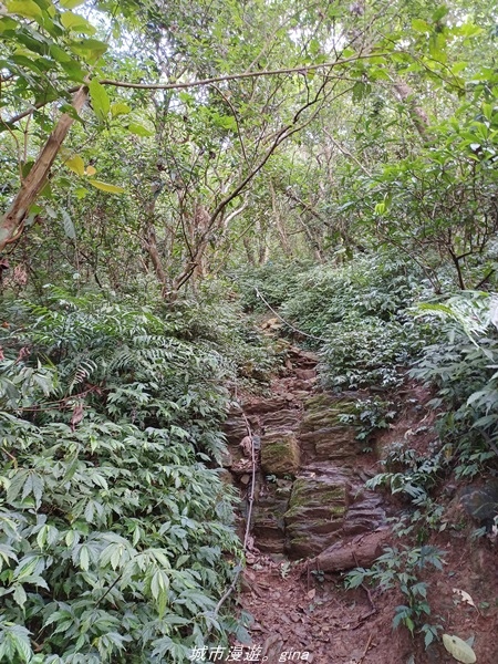 【屏東來義】屏東三大熱門登山路線之一。 小百岳集起來。 No