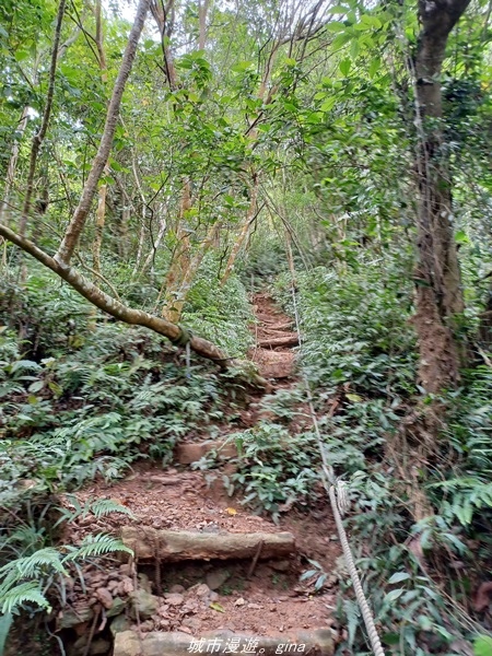 20220424_104344.jpg 20220424_104344.jpg