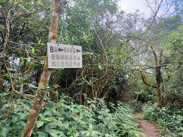 20220424_115855.jpg 20220424_115855.jpg