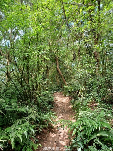 20220424_115232.jpg 20220424_115232.jpg