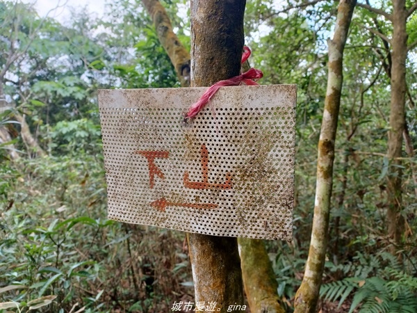 20220424_115850.jpg 20220424_115850.jpg