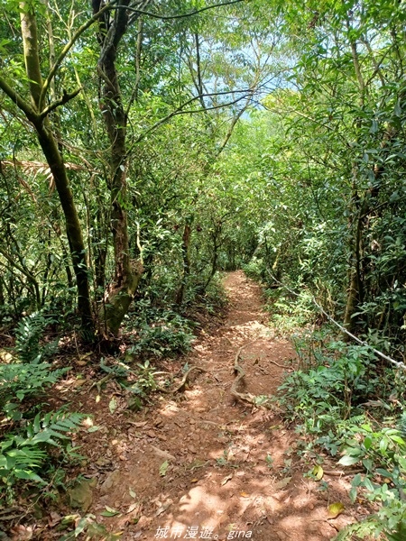 20220424_120227.jpg 20220424_120227.jpg