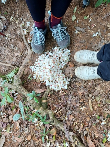 20220424_120648.jpg 20220424_120648.jpg