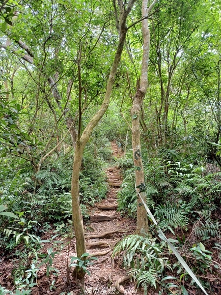 【屏東來義】屏東三大熱門登山路線之一。 小百岳集起來。 No