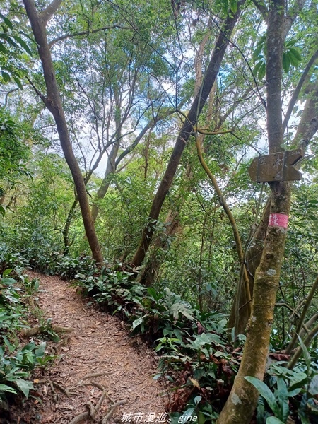 20220424_124001.jpg 20220424_124001.jpg