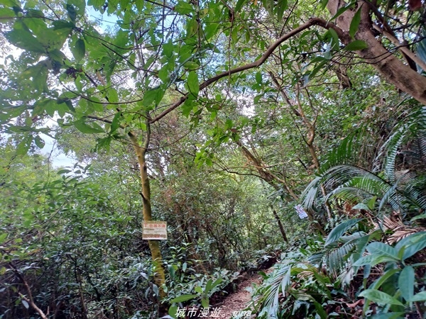 20220424_123956.jpg 20220424_123956.jpg