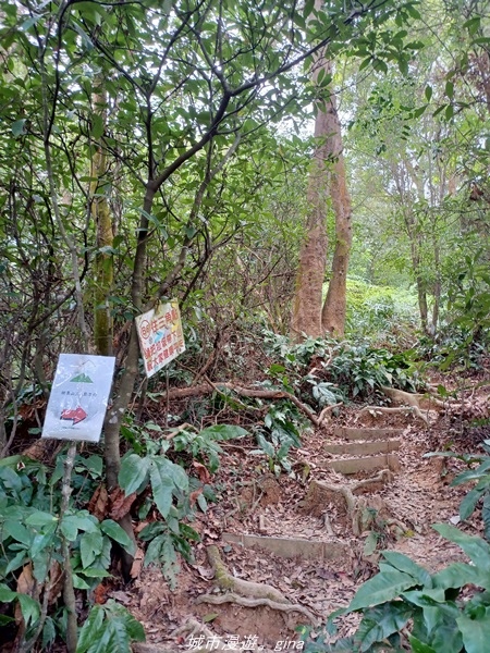 【屏東來義】屏東三大熱門登山路線之一。 小百岳集起來。 No