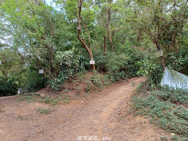 20220424_124209.jpg 20220424_124209.jpg