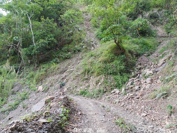 【高雄甲仙】沒有朵朵白雲。 小百岳集起來。 No69小百岳-