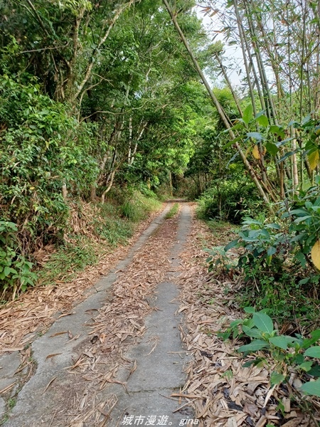 【高雄甲仙】沒有朵朵白雲。 小百岳集起來。 No69小百岳-