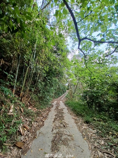 【高雄甲仙】沒有朵朵白雲。 小百岳集起來。 No69小百岳-