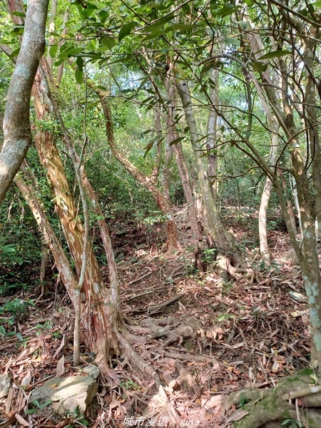 【高雄甲仙】沒有朵朵白雲。 小百岳集起來。 No69小百岳-