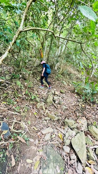 【高雄甲仙】沒有朵朵白雲。 小百岳集起來。 No69小百岳-