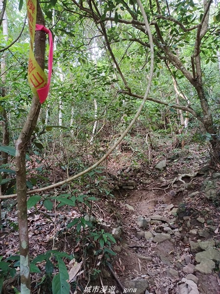 【高雄甲仙】沒有朵朵白雲。 小百岳集起來。 No69小百岳-