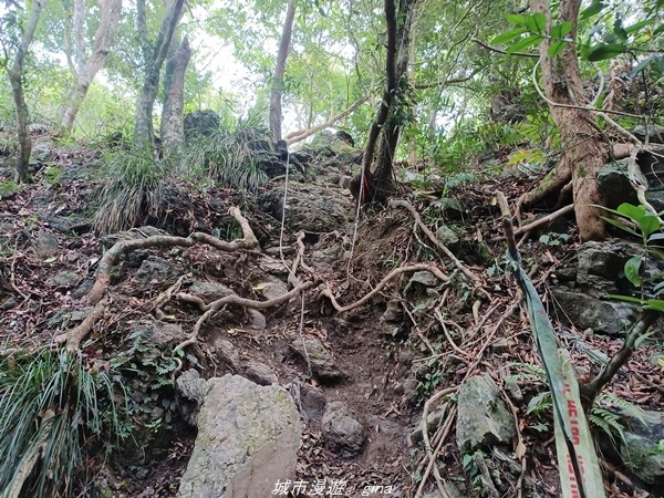 【高雄甲仙】沒有朵朵白雲。 小百岳集起來。 No69小百岳-